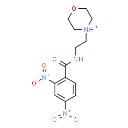 ChemSpider 2D Image | 4-{2-[(2,4-Dinitrobenzoyl)amino]ethyl}morpholin-4-ium | C13H17N4O6