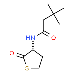 ChemSpider 2D Image | 3,3-Dimethyl-N-[(3R)-2-oxotetrahydro-3-thiophenyl]butanamide | C10H17NO2S