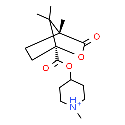 ChemSpider 2D Image | 1-Methyl-4-({[(1S,4R)-4,7,7-trimethyl-3-oxo-2-oxabicyclo[2.2.1]hept-1-yl]carbonyl}oxy)piperidinium | C16H26NO4