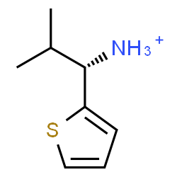 ChemSpider 2D Image | (1S)-2-Methyl-1-(2-thienyl)-1-propanaminium | C8H14NS