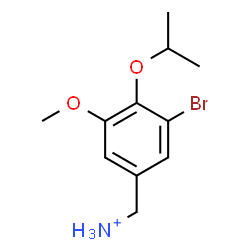 ChemSpider 2D Image | (3-Bromo-4-isopropoxy-5-methoxyphenyl)methanaminium | C11H17BrNO2