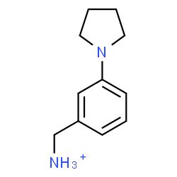 ChemSpider 2D Image | [3-(1-Pyrrolidinyl)phenyl]methanaminium | C11H17N2