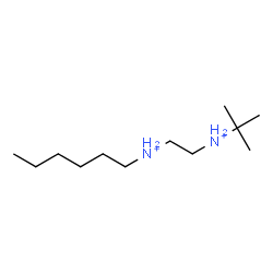 ChemSpider 2D Image | N-Hexyl-N'-(2-methyl-2-propanyl)-1,2-ethanediaminium | C12H30N2