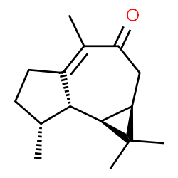 ChemSpider 2D Image | Aromadendr-1(10)-en-9-one | C15H22O