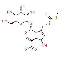 ChemSpider 2D Image | Methyl (1S,4aR,5S,7aS)-5-hydroxy-7-({[(methylsulfanyl)carbonyl]oxy}methyl)-1-(alpha-L-talopyranosyloxy)-1,4a,5,7a-tetrahydrocyclopenta[c]pyran-4-carboxylate | C19H26O12S