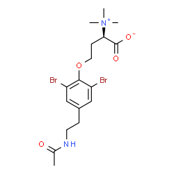 ChemSpider 2D Image | (2R)-4-[4-(2-Acetamidoethyl)-2,6-dibromophenoxy]-2-(trimethylammonio)butanoate | C17H24Br2N2O4