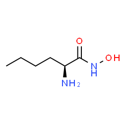 ChemSpider 2D Image | N-Hydroxy-L-norleucinamide | C6H14N2O2