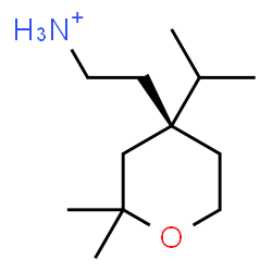 ChemSpider 2D Image | 2-[(4R)-4-Isopropyl-2,2-dimethyltetrahydro-2H-pyran-4-yl]ethanaminium | C12H26NO