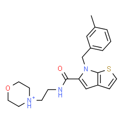 ChemSpider 2D Image | 4-[2-({[6-(3-Methylbenzyl)-6H-thieno[2,3-b]pyrrol-5-yl]carbonyl}amino)ethyl]morpholin-4-ium | C21H26N3O2S