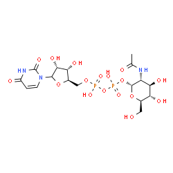 ChemSpider 2D Image | (2R,3R,4R,5S,6R)-3-Acetamido-4,5-dihydroxy-6-(hydroxymethyl)tetrahydro-2H-pyran-2-yl [(2R,3S,4R)-5-(2,4-dioxo-3,4-dihydro-1(2H)-pyrimidinyl)-3,4-dihydroxytetrahydro-2-furanyl]methyl dihydrogen diphosp
hate (non-preferred name) | C17H27N3O17P2