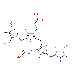 ChemSpider 2D Image | 3-[2-[[3-(2-carboxyethyl)-4-methyl-5-[[(2R)-3-methyl-5-oxo-4-vinyl-1,2-dihydropyrrol-2-yl]methyl]-1H-pyrrol-2-yl]methyl]-5-[[(2R)-3-ethyl-4-methyl-5-oxo-1,2-dihydropyrrol-2-yl]methyl]-4-methyl-1H-pyrrol-3-yl]propanoic acid | C33H42N4O6