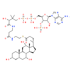 ChemSpider 2D Image | S-{(9R)-1-[(2R,3S,4R,5R)-5-(6-Amino-9H-purin-9-yl)-4-hydroxy-3-(phosphonooxy)tetrahydro-2-furanyl]-3,5,9-trihydroxy-8,8-dimethyl-3,5-dioxido-10,14-dioxo-2,4,6-trioxa-11,15-diaza-3lambda~5~,5lambda~5~-
diphosphaheptadecan-17-yl} (4R)-4-[(3R,5S,7R,8R,9S,10S,12S,13R,14S,17R)-3,7,12-trihydroxy-10,13-dimethylhexadecahydro-1H-cyclopenta[a]phenanthren-17-yl]pentanethioate | C45H74N7O20P3S