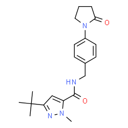 ChemSpider 2D Image | 1-Methyl-3-(2-methyl-2-propanyl)-N-[4-(2-oxo-1-pyrrolidinyl)benzyl]-1H-pyrazole-5-carboxamide | C20H26N4O2
