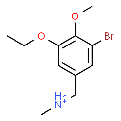 ChemSpider 2D Image | (3-Bromo-5-ethoxy-4-methoxyphenyl)-N-methylmethanaminium | C11H17BrNO2