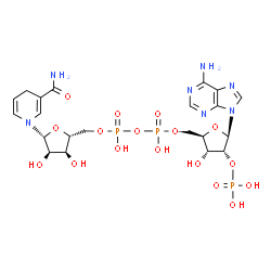 ChemSpider 2D Image | NADPH | C21H30N7O17P3