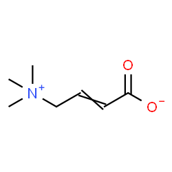 ChemSpider 2D Image | (2E)-4-(Trimethylammonio)-2-butenoate | C7H13NO2
