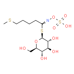 ChemSpider 2D Image | glucoerucin | C12H23NO9S3