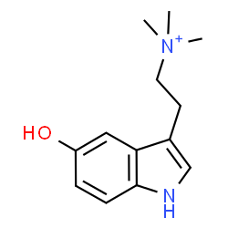 ChemSpider 2D Image | 2-(5-Hydroxy-1H-indol-3-yl)-N,N,N-trimethylethanaminium | C13H19N2O