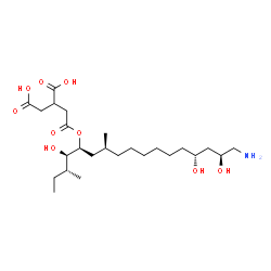 ChemSpider 2D Image | 2-(2-{[(3R,4R,5S,7S,14R,16S)-17-Amino-4,14,16-trihydroxy-3,7-dimethyl-5-heptadecanyl]oxy}-2-oxoethyl)succinic acid | C25H47NO9