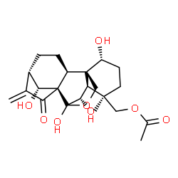 ChemSpider 2D Image | (1beta,5beta,6beta,7beta,8alpha,9beta,10alpha,13alpha,14R)-1,6,7,14-Tetrahydroxy-15-oxo-7,20-epoxykaur-16-en-18-yl acetate | C22H30O8