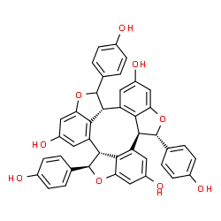 ChemSpider 2D Image | (2R,2aR,7aR,12S,12aS)-2,7,12-Tris(4-hydroxyphenyl)-2,2a,7,7a,12,12a-hexahydrobis[1]benzofuro[3',4':4,5,6;3'',4'':7,8,9]cyclonona[1,2,3-cd][1]benzofuran-4,9,14-triol | C42H30O9