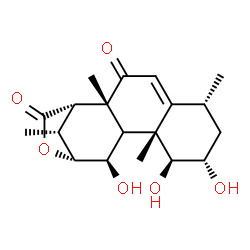 ChemSpider 2D Image | (1S,2R,6R,8S,9S,10R,12R,13R,16R)-8,9,12-Trihydroxy-2,6,10,16-tetramethyl-14-oxatetracyclo[11.2.1.0~2,11~.0~5,10~]hexadec-4-ene-3,15-dione | C19H26O6