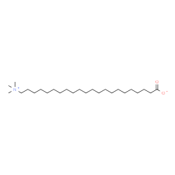 ChemSpider 2D Image | 22-(Trimethylammonio)docosanoate | C25H51NO2
