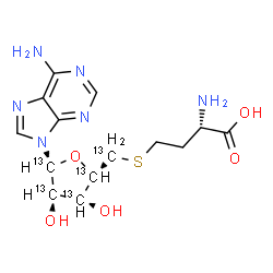 ChemSpider 2D Image | (2S)-2-Amino-4-({[(2S,3S,4R,5R)-5-(6-amino-9H-purin-9-yl)-3,4-dihydroxy(~13~C_4_)tetrahydro-2-furanyl](~13~C)methyl}sulfanyl)butanoic acid (non-preferred name) | C913C5H20N6O5S
