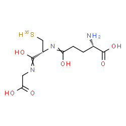 ChemSpider 2D Image | 5-{[(2R)-1-[(Carboxymethyl)imino]-1-hydroxy-3-(~35~S)sulfanyl-2-propanyl]imino}-5-hydroxy-L-norvaline | C10H17N3O635S