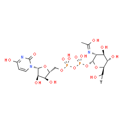 ChemSpider 2D Image | (1Z)-N-{(2R,3R,4R,5S,6S)-2-{[{[{[(2R,3S,4R,5R)-3,4-Dihydroxy-5-(4-hydroxy-2-oxo-1(2H)-pyrimidinyl)tetrahydro-2-furanyl]methoxy}(hydroxy)phosphoryl]oxy}(hydroxy)phosphoryl]oxy}-4,5-dihydroxy-6-[hydroxy
(~3~H_1_)methyl]tetrahydro-2H-pyran-3-yl}ethanimidic acid (non-preferred name) | C17H26TN3O17P2