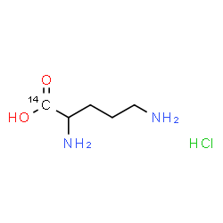 ChemSpider 2D Image | (1-~14~C)Ornithine hydrochloride (1:1) | C414CH13ClN2O2