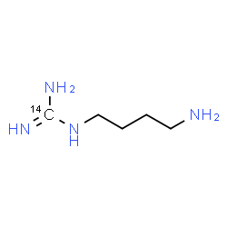 ChemSpider 2D Image | 1-(4-Aminobutyl)(~14~C)guanidine | C414CH14N4