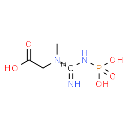 ChemSpider 2D Image | N-Methyl-N-[N-phosphono(~14~C)carbamimidoyl]glycine | C314CH10N3O5P