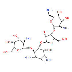 ChemSpider 2D Image | (1R,2R,3S,4S,6R)-4,6-Diamino-2-{[3-O-(2,6-diamino-2,6-dideoxy-beta-L-idopyranosyl)-beta-D-ribofuranosyl]oxy}-3-hydroxy(5-~3~H_1_)cyclohexyl 2-amino-2-deoxy-alpha-D-glucopyranoside | C23H44TN5O14