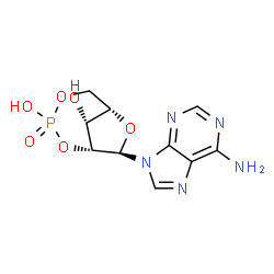 ChemSpider 2D Image | (1R,6S,8R,9R)-8-(6-Amino-9H-purin-9-yl)-2,4,7-trioxa-3-phosphabicyclo[4.2.1]nonane-3,9-diol 3-oxide | C10H12N5O6P