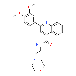 ChemSpider 2D Image | 4-[2-({[2-(3,4-Dimethoxyphenyl)-4-quinolinyl]carbonyl}amino)ethyl]morpholin-4-ium | C24H28N3O4
