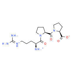 ChemSpider 2D Image | (2S)-1-(1-{(2S)-2-Ammonio-5-[(diaminomethylene)ammonio]pentanoyl}-L-prolyl)-2-pyrrolidinecarboxylate | C16H29N6O4