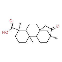 ChemSpider 2D Image | 16-Oxobeyeran-19-oic acid | C20H30O3