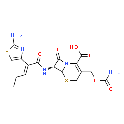 ChemSpider 2D Image | (7R)-7-{[(2E)-2-(2-Amino-1,3-thiazol-4-yl)-2-pentenoyl]amino}-3-[(carbamoyloxy)methyl]-8-oxo-5-thia-1-azabicyclo[4.2.0]oct-2-ene-2-carboxylic acid | C17H19N5O6S2