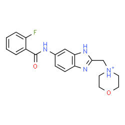 ChemSpider 2D Image | 4-({6-[(2-Fluorobenzoyl)amino]-1H-benzimidazol-2-yl}methyl)morpholin-4-ium | C19H20FN4O2