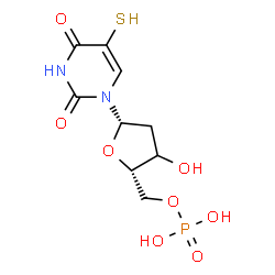 ChemSpider 2D Image | 1-[(3xi)-2-Deoxy-5-O-phosphono-beta-L-glycero-pentofuranosyl]-5-sulfanyl-2,4(1H,3H)-pyrimidinedione | C9H13N2O8PS