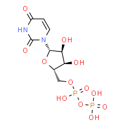 ChemSpider 2D Image | 1-{5-O-[Hydroxy(phosphonooxy)phosphoryl]-beta-L-ribofuranosyl}-2,4(1H,3H)-pyrimidinedione | C9H14N2O12P2
