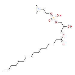 ChemSpider 2D Image | 2,5-Dihydroxy-9-methyl-5-oxido-4,6-dioxa-9-aza-5-phosphadec-1-yl hexadecanoate | C23H48NO7P