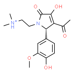 ChemSpider 2D Image | 2-[(2S)-3-Acetyl-4-hydroxy-2-(4-hydroxy-3-methoxyphenyl)-5-oxo-2,5-dihydro-1H-pyrrol-1-yl]-N,N-dimethylethanaminium | C17H23N2O5