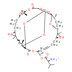 ChemSpider 2D Image | [(2R)-1-{(1R)-1-[(1R,5S,6R,8R,12R,14S,17R,18R,19S,22S,28S,30S,33R)-12,28-Dihydroxy-1,2,18,19-tetra(hydroxy-kappaO)-6,13,13,17,29,29,33-heptamethyl-3,20-dioxo-4,7,21,34,35-pentaoxatetracyclo[28.3.1.1~5
,8~.1~14,18~]hexatriacont-24-en-22-yl]ethoxy}-3-methyl-1-oxo-2-butanaminiumato(4-)]boron | C45H74BNO15