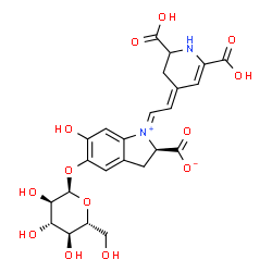 ChemSpider 2D Image | (1E,2R)-1-[(2E)-2-(2,6-Dicarboxy-2,3-dihydro-4(1H)-pyridinylidene)ethylidene]-5-(alpha-D-glucopyranosyloxy)-6-hydroxy-2,3-dihydro-1H-indolium-2-carboxylate | C24H26N2O13