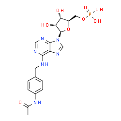 ChemSpider 2D Image | N-(4-Acetamidobenzyl)adenosine 5'-(dihydrogen phosphate) | C19H23N6O8P