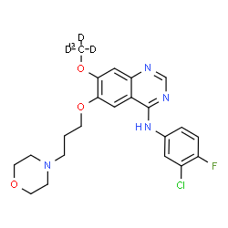 ChemSpider 2D Image | N-(3-Chloro-4-fluorophenyl)-7-[(~13~C,~2~H_3_)methyloxy]-6-[3-(4-morpholinyl)propoxy]-4-quinazolinamine | C2113CH21D3ClFN4O3