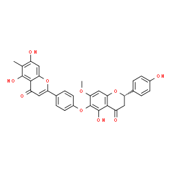 ChemSpider 2D Image | 5,7-Dihydroxy-2-(4-{[(2S)-5-hydroxy-2-(4-hydroxyphenyl)-7-methoxy-4-oxo-3,4-dihydro-2H-chromen-6-yl]oxy}phenyl)-6-methyl-4H-chromen-4-one | C32H24O10