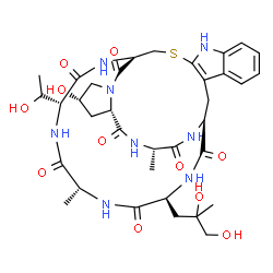ChemSpider 2D Image | (1S,14R,18S,20S,23S,28S,31R,34R)-28-(2,3-Dihydroxy-2-methylpropyl)-18-hydroxy-34-[(1S)-1-hydroxyethyl]-23,31-dimethyl-12-thia-10,16,22,25,27,30,33,36-octaazapentacyclo[12.11.11.0~3,11~.0~4,9~.0~16,20~
]hexatriaconta-3(11),4,6,8-tetraene-15,21,24,26,29,32,35-heptone | C35H48N8O11S